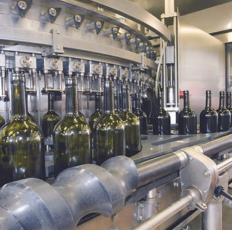 Şarap Fabrikası Fermantasyon