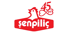 Şenpiliç
